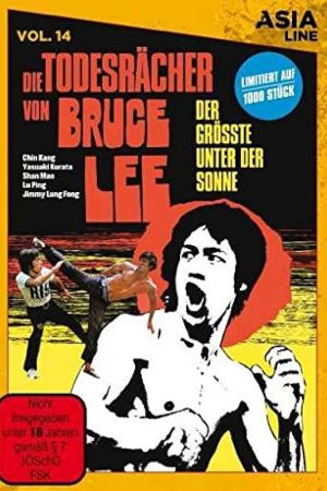 Die Todesrächer von Bruce Lee